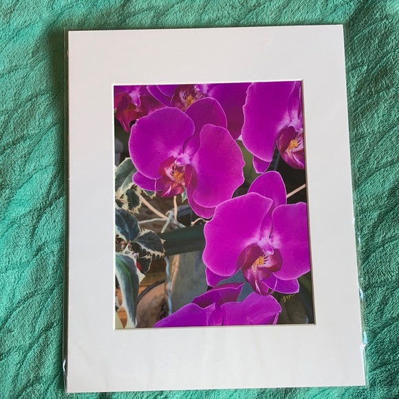 Other - 💗 “Large Pink” LM Photograph